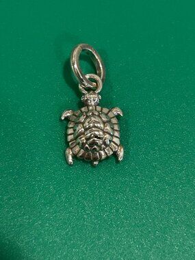 Brighton Turtle Animal Silver Charm